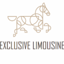 Photo de profil pour le VTC EXCLUSIVE LIMOUSINE à Guyancourt