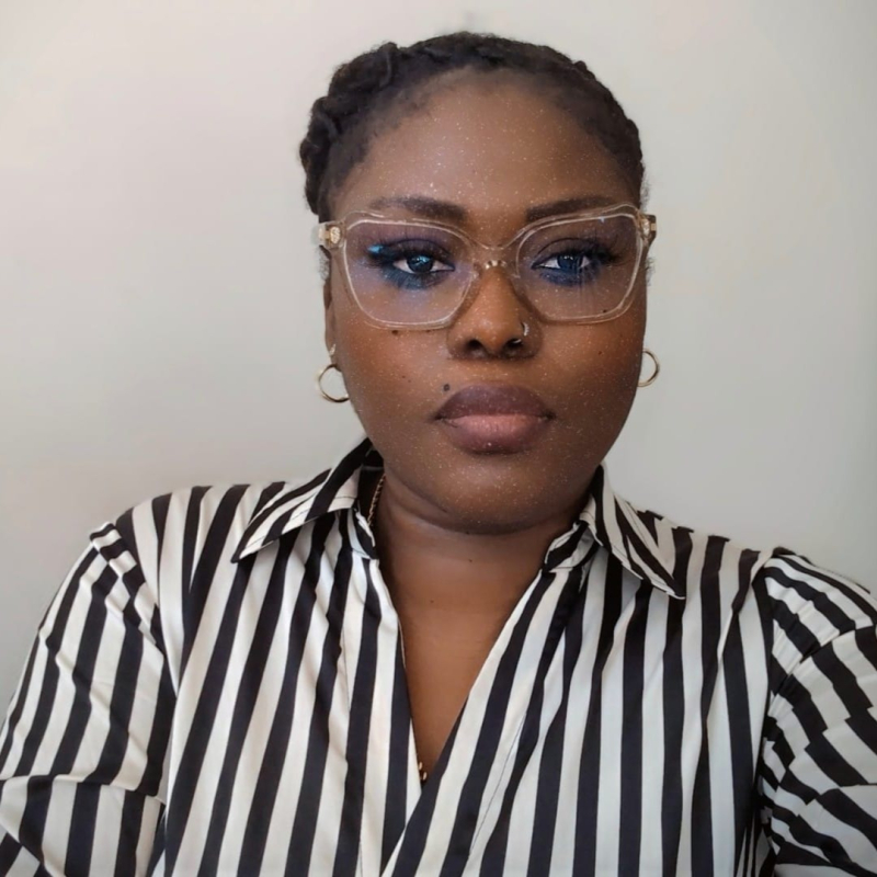 Photo de profil pour le VTC NMZ TRANSPORT à Villemomble