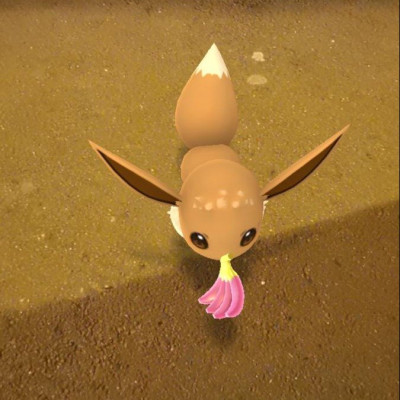 Photo de profil pour le VTC Ryade moussaceb à Gennevilliers