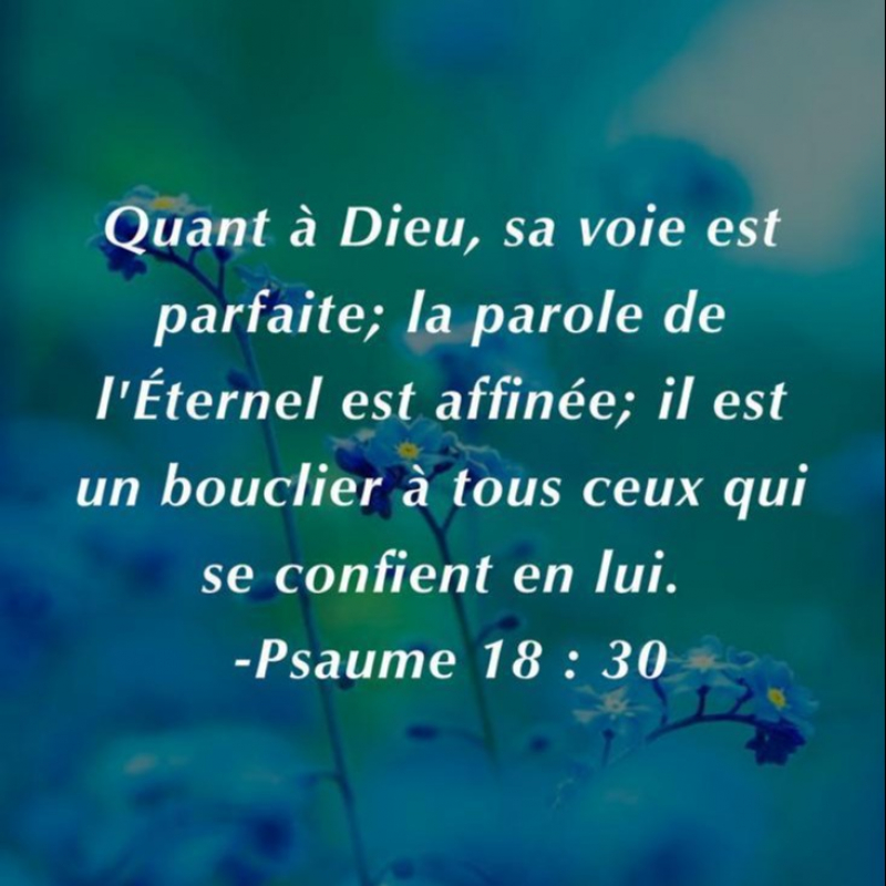 Photo de profil pour le VTC Oce drive à Saint-Denis