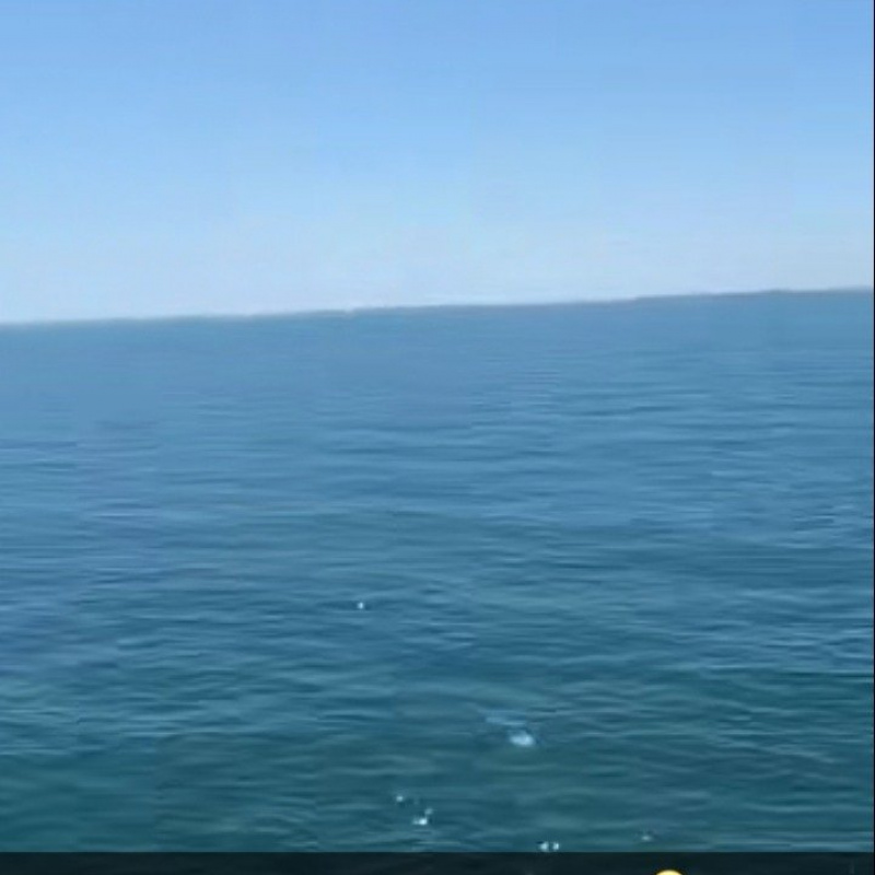 Photo de profil pour le VTC Excellence transport à Paris