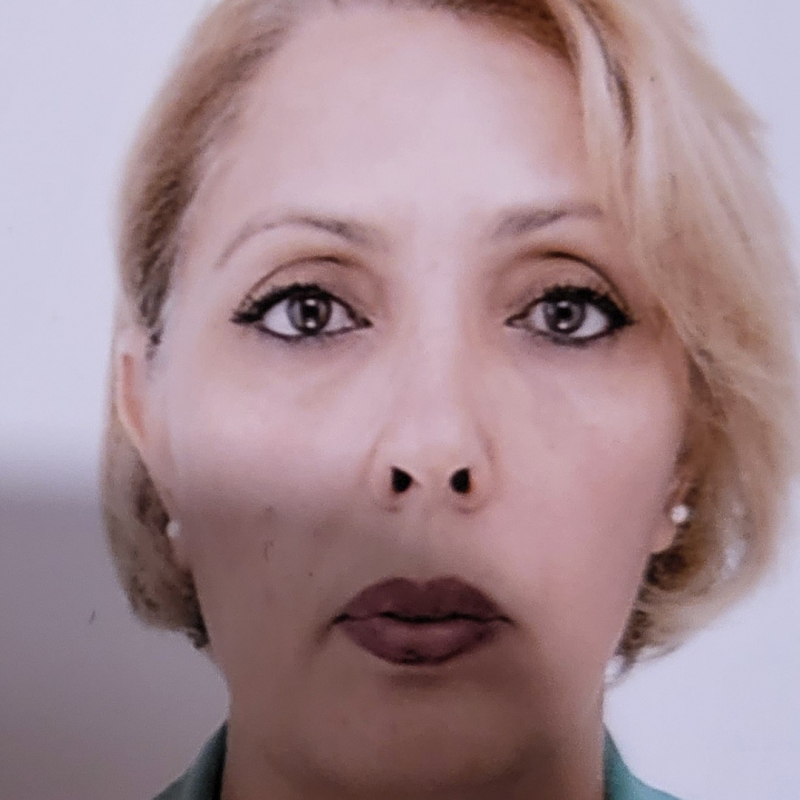 Photo de profil pour le VTC Sasu touile nadia à 78300 Poissy, France