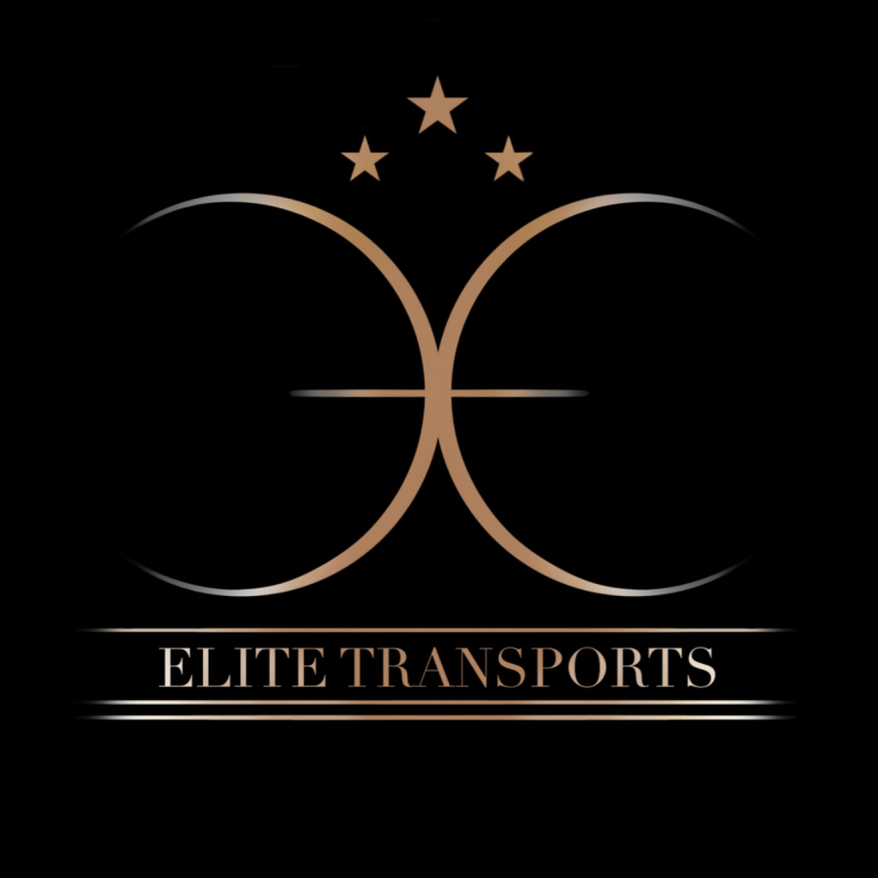 Photo de profil pour le VTC ELITE TRANSPORTS à Grenoble, France